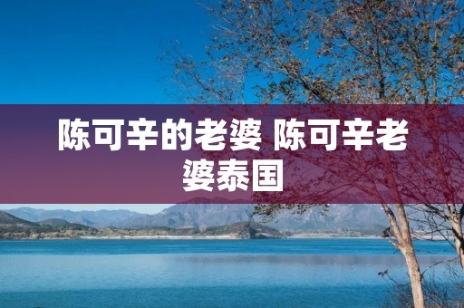 陈可辛的老婆 陈可辛老婆泰国 陈可辛的老婆 陈可辛老婆泰国