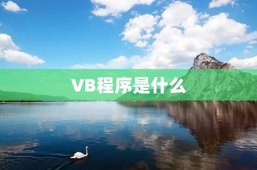 VB程序是什么 VB程序是什么