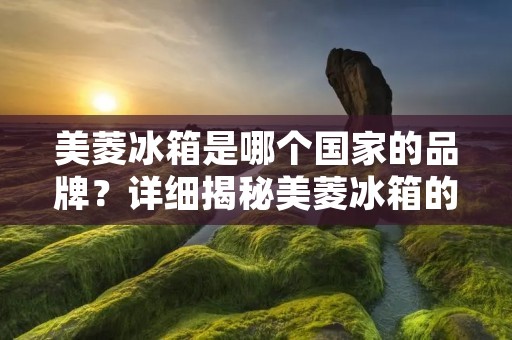 美菱冰箱是哪个国家的品牌？详细揭秘美菱冰箱的背后故事