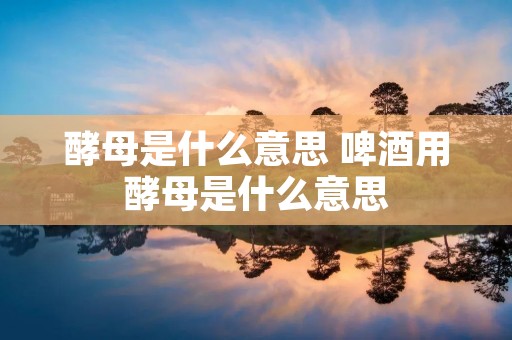 酵母是什么意思 啤酒用酵母是什么意思