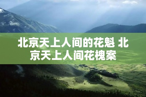 北京天上人间的花魁 北京天上人间花槐案