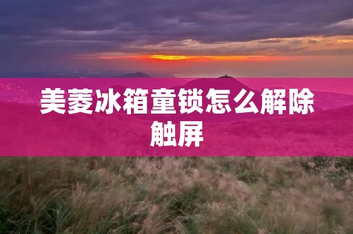美菱冰箱童锁怎么解除触屏