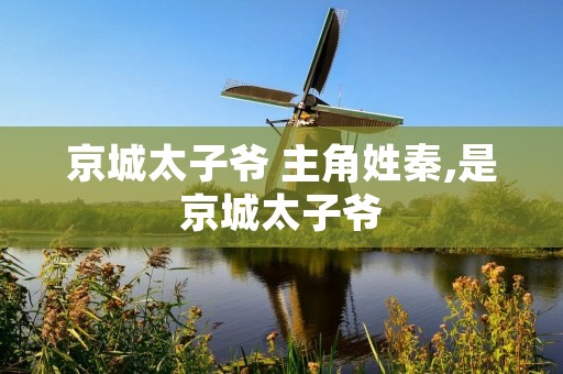 京城太子爷 主角姓秦,是京城太子爷