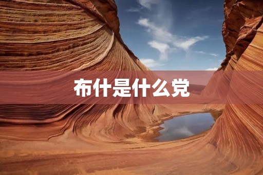 布什是什么党 布什是什么党
