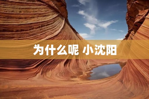 为什么呢 小沈阳 为什么呢 小沈阳