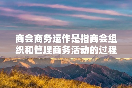 商会商务运作是指商会组织和管理商务活动的过程。商会作为一个由企业组成的组织,旨在促进会员企业之间的合作与发展,通过商务运作来实现其宗旨和目标。 商会商务运作是指商会组织和管理商务活动的过程。商会作为一个由企业组成的组织,旨在促进会员企业之间的合作与发展,通过商务运作来实现其宗旨和目标。