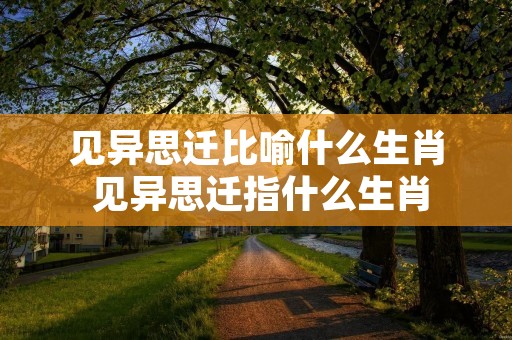 见异思迁比喻什么生肖 见异思迁指什么生肖