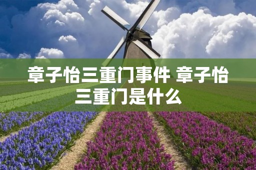 章子怡三重门事件 章子怡三重门是什么 章子怡三重门事件 章子怡三重门是什么