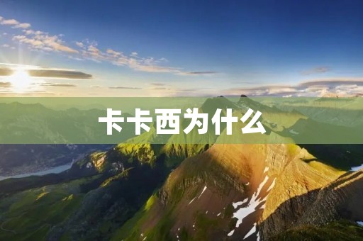 卡卡西为什么 卡卡西为什么
