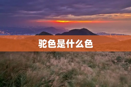 驼色是什么色 驼色是什么色