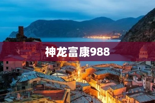 神龙富康988：为您带来全新生活体验