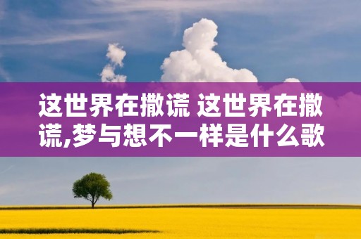 这世界在撒谎 这世界在撒谎,梦与想不一样是什么歌