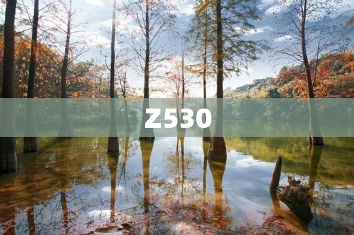Z530：一款超乎寻常的智能手机