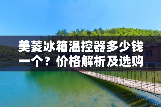 美菱冰箱温控器多少钱一个?价格解析及选购建议 美菱冰箱温控器多少钱一个?价格解析及选购建议