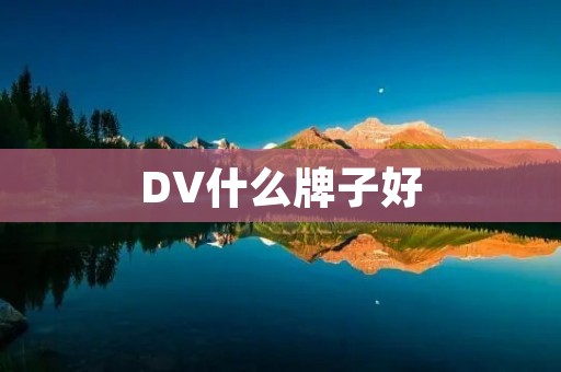 DV什么牌子好 DV什么牌子好