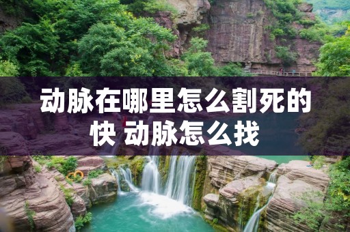 动脉在哪里怎么割死的快 动脉怎么找