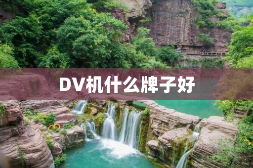 DV机什么牌子好