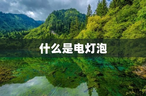 什么是电灯泡 什么是电灯泡