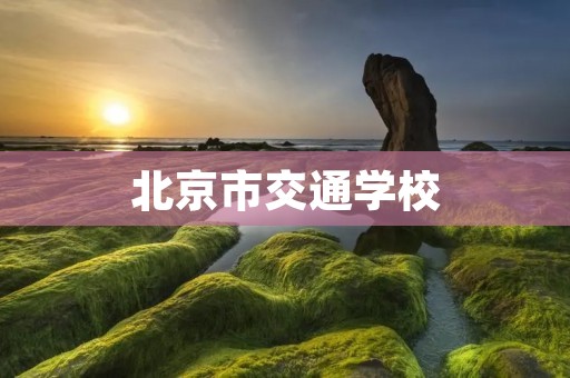 北京市交通学校：培养专业交通人才的摇篮