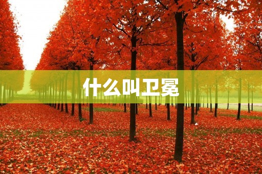 什么叫卫冕 什么叫卫冕