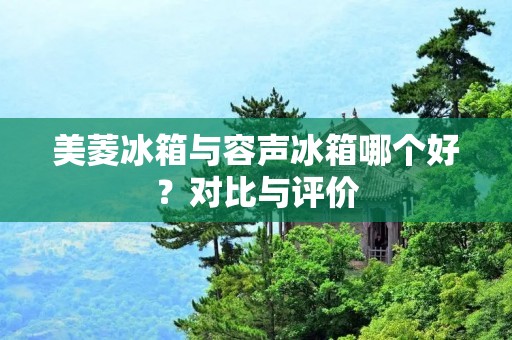 美菱冰箱与容声冰箱哪个好？对比与评价