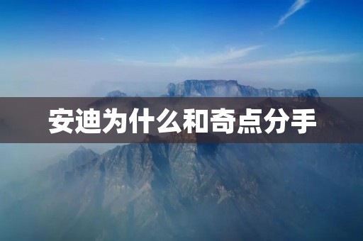 安迪为什么和奇点分手