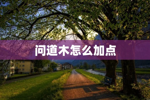 问道木怎么加点：探索装备与技能搭配的最佳策略