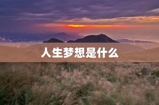 人生梦想是什么