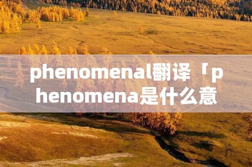 phenomenal翻译「phenomena是什么意思中文翻译」