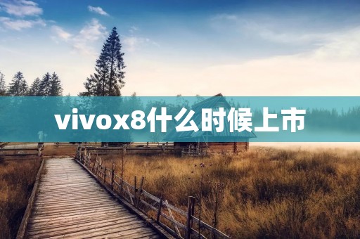 vivox8什么时候上市 vivox8什么时候上市