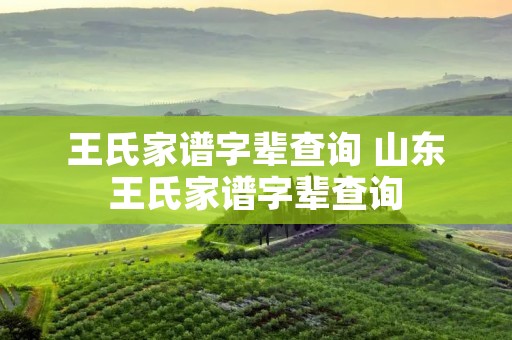 王氏家谱字辈查询 山东王氏家谱字辈查询 王氏家谱字辈查询 山东王氏家谱字辈查询