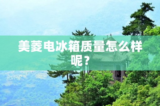 美菱电冰箱质量怎么样呢？