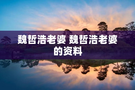 魏哲浩老婆 魏哲浩老婆的资料