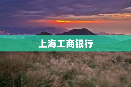上海工商**:服务创新引领金融发展 上海工商**:服务创新引领金融发展