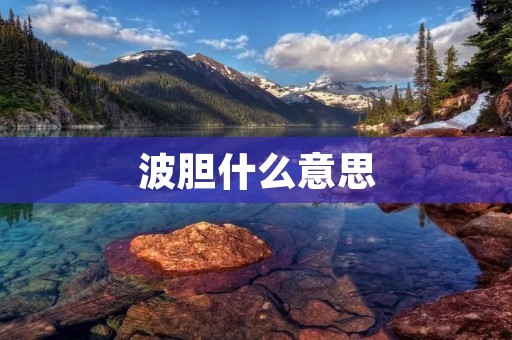 波胆什么意思 波胆什么意思