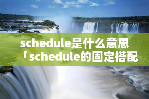 schedule是什么意思「schedule的固定搭配」