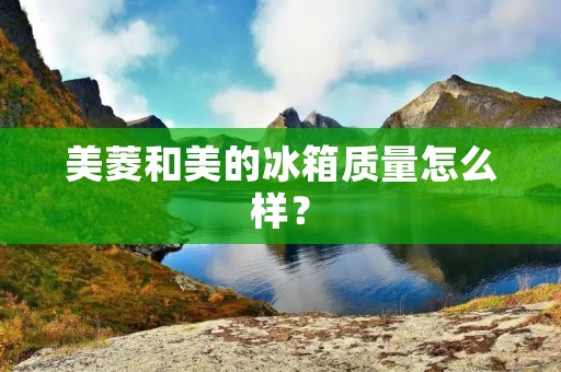美菱和美的冰箱质量怎么样？