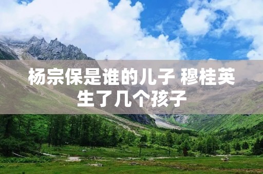 杨宗保是谁的儿子 穆桂英生了几个孩子
