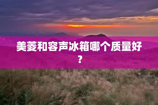 美菱和容声冰箱哪个质量好? 美菱和容声冰箱哪个质量好?