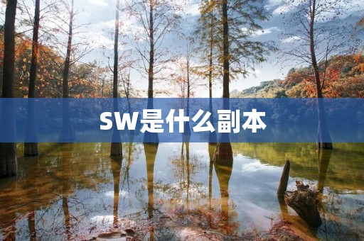 SW是什么副本