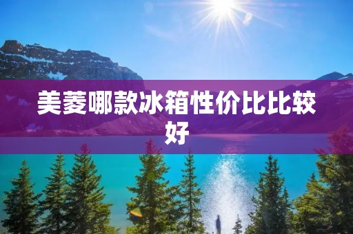 美菱哪款冰箱性价比比较好