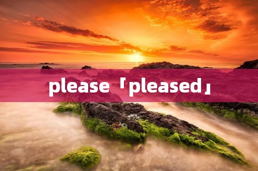 please「pleased」 please「pleased」