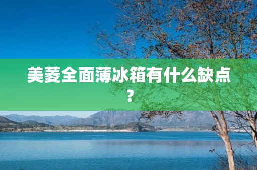 美菱全面薄冰箱有什么缺点？