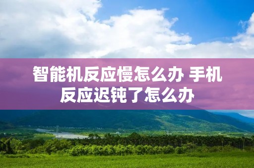 智能机反应慢怎么办 手机反应迟钝了怎么办