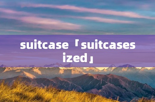suitcase「suitcasesized」