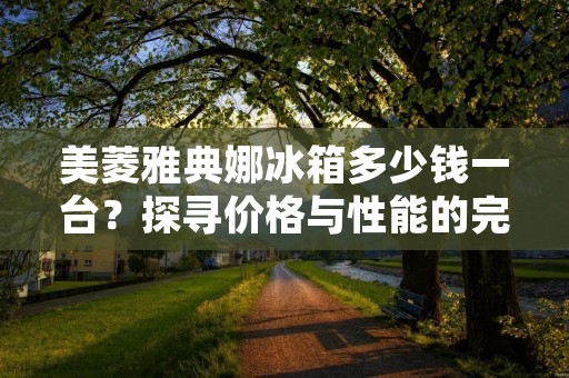 美菱雅典娜冰箱多少钱一台?探寻价格与性能的完美平衡 美菱雅典娜冰箱多少钱一台?探寻价格与性能的完美平衡