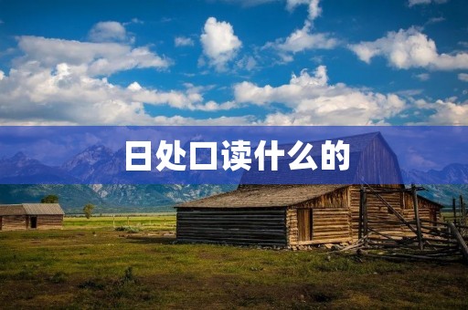 日处口读什么的