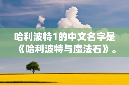 哈利波特1的中文名字是《哈利波特与魔法石》。这是一部由J·K·罗琳创作的奇幻小说，是哈利波特系列的第一本书。故事以11岁的主人公哈利·波特为中心展开，他在孤儿院中过着悲惨的生活，直到他收到一封神秘的信件，得知自己是一名魔法师，并被邀请进入霍格沃茨魔法学校。