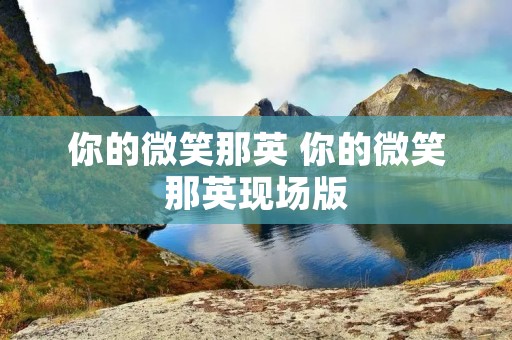 你的微笑那英 你的微笑那英现场版