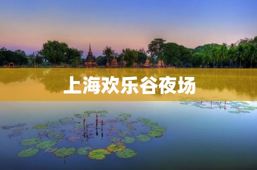 上海欢乐谷夜场：夜晚的欢乐之城